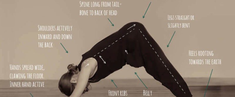 How to do: Downward Dog Yoga Pose