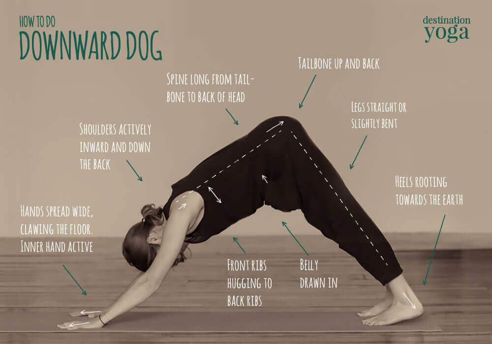 Sepia tone, woman doing downward dog pose on yoga mat, with text labels pointing to parts of her body and describing good form